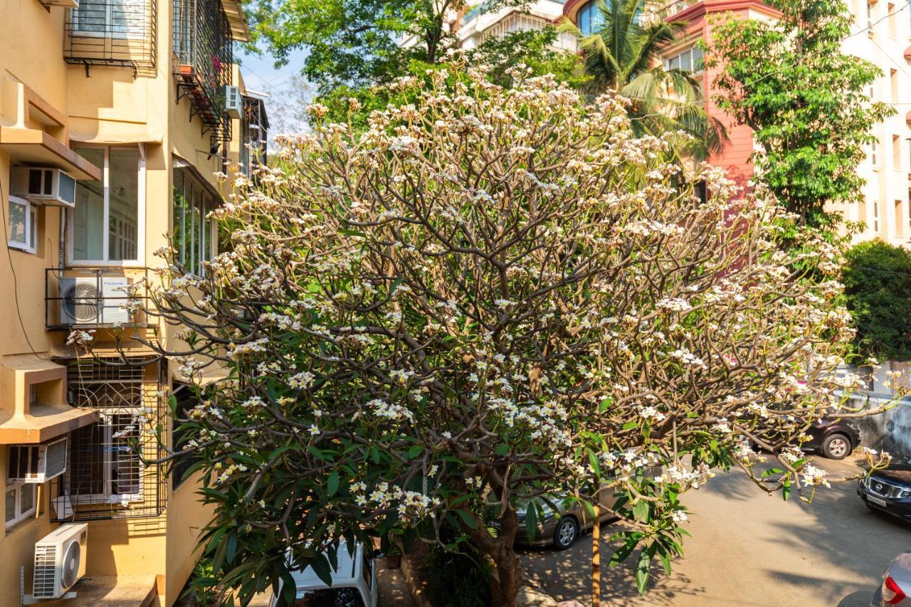Kwatera prywatna Ivory Seaside Near Carter Road, Bandra West, Bombaj